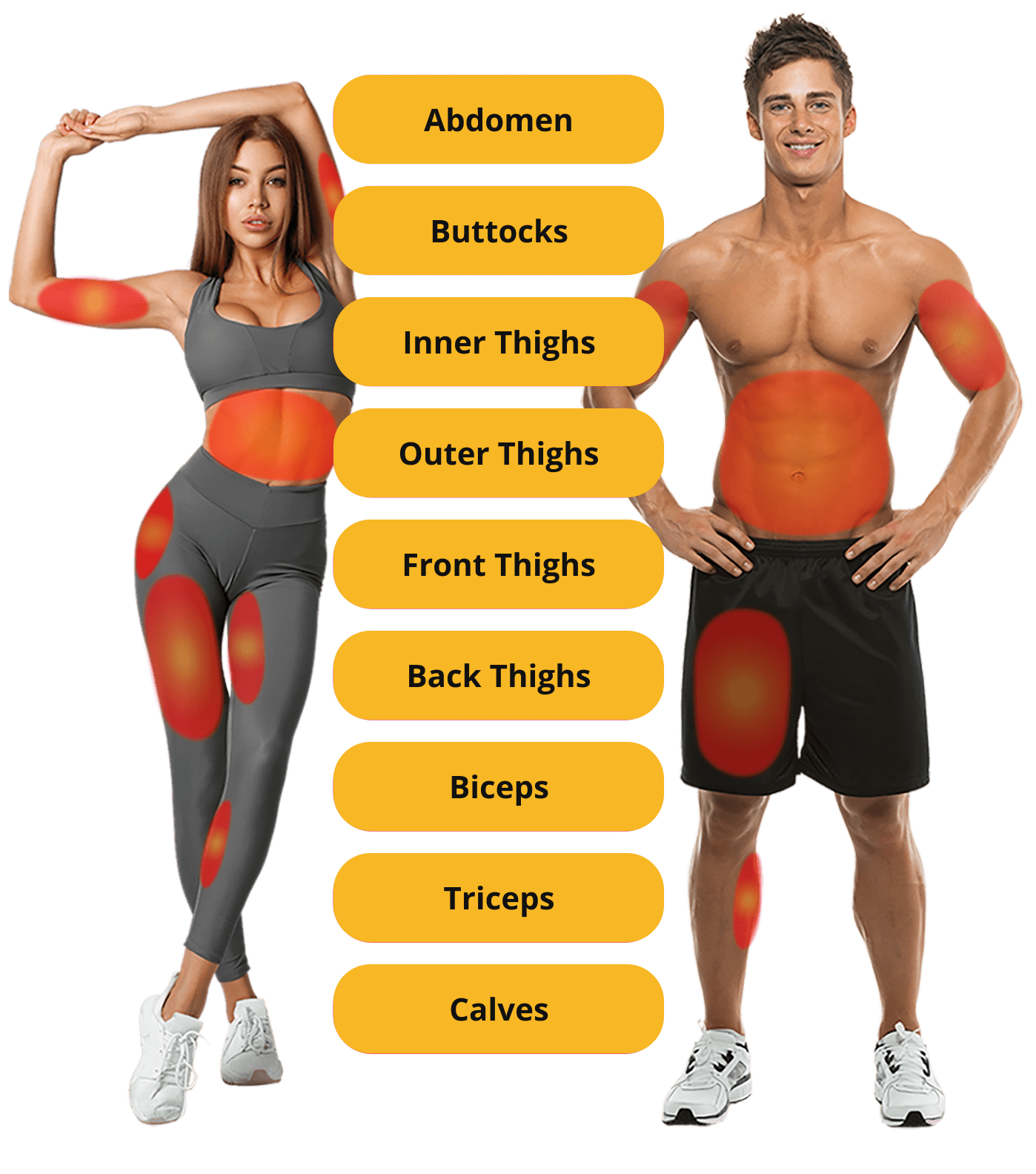 Abdomen-Image