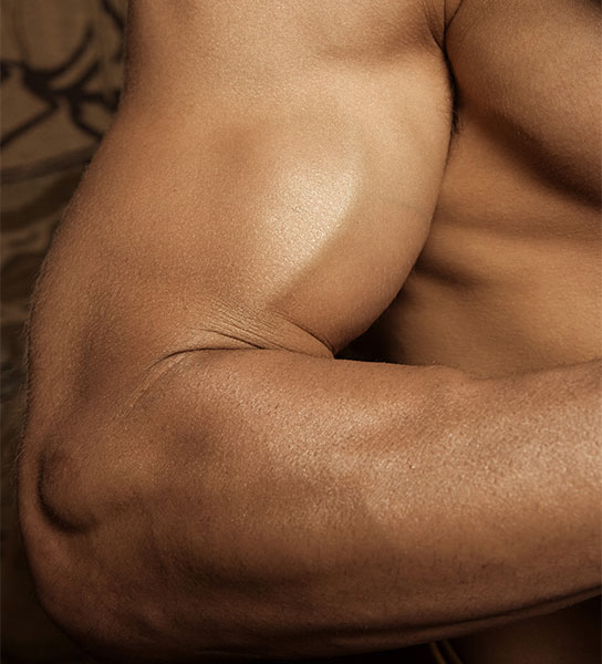 The-upper-arms The-upper-arms